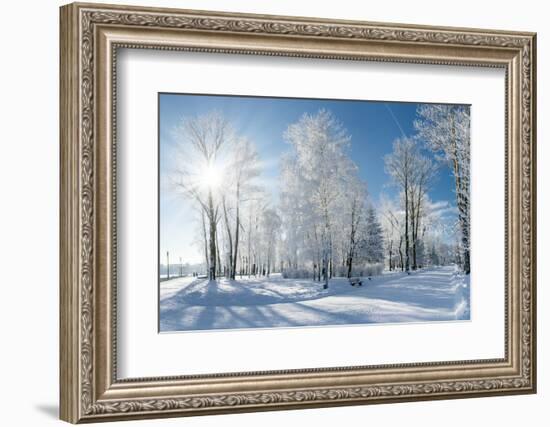 Beautiful Winter Landscape with Snow Covered Trees-Leonid Tit-Framed Photographic Print