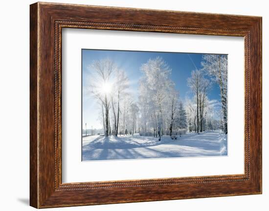 Beautiful Winter Landscape with Snow Covered Trees-Leonid Tit-Framed Photographic Print