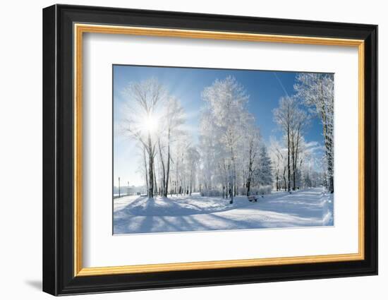 Beautiful Winter Landscape with Snow Covered Trees-Leonid Tit-Framed Photographic Print