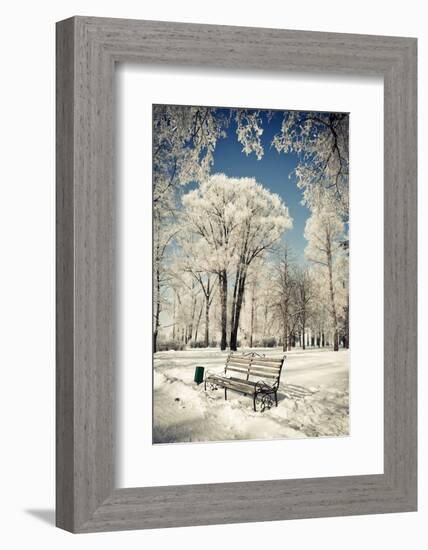 Beautiful Winter Landscape with Snow Covered Trees-Leonid Tit-Framed Photographic Print