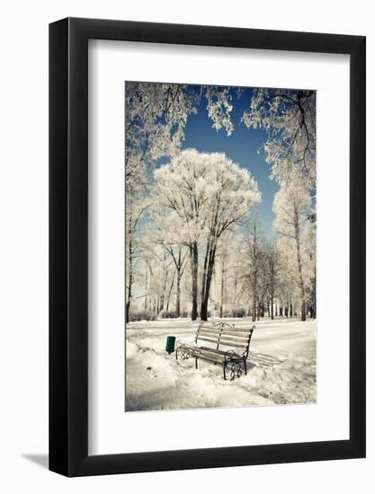 Beautiful Winter Landscape with Snow Covered Trees-Leonid Tit-Framed Photographic Print