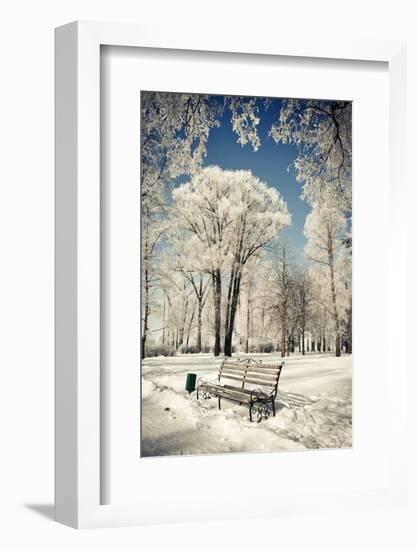 Beautiful Winter Landscape with Snow Covered Trees-Leonid Tit-Framed Photographic Print