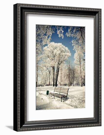 Beautiful Winter Landscape with Snow Covered Trees-Leonid Tit-Framed Photographic Print