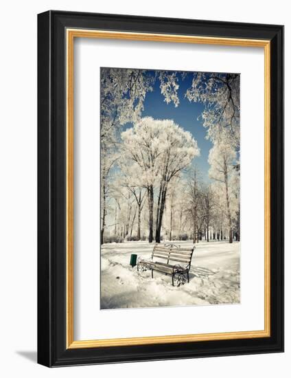 Beautiful Winter Landscape with Snow Covered Trees-Leonid Tit-Framed Photographic Print