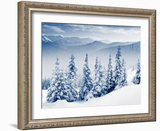 Beautiful Winter Landscape with Snow Covered Trees-Leonid Tit-Framed Photographic Print