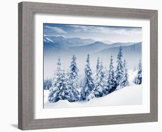 Beautiful Winter Landscape with Snow Covered Trees-Leonid Tit-Framed Photographic Print