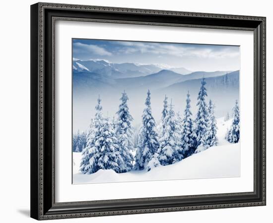 Beautiful Winter Landscape with Snow Covered Trees-Leonid Tit-Framed Photographic Print