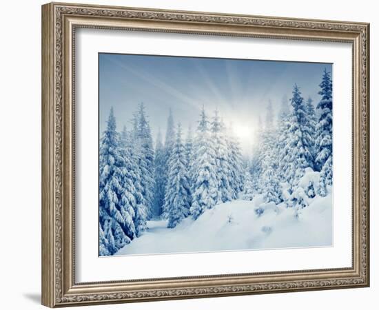 Beautiful Winter Landscape with Snow Covered Trees-Leonid Tit-Framed Photographic Print