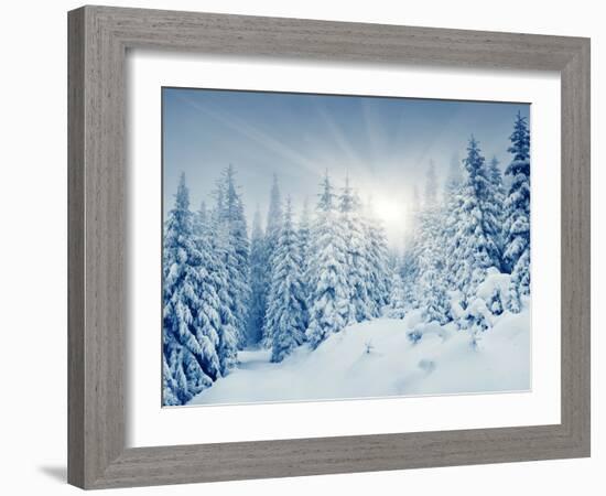 Beautiful Winter Landscape with Snow Covered Trees-Leonid Tit-Framed Photographic Print