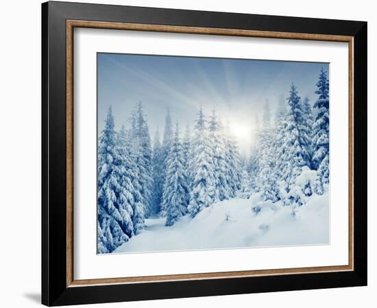 Beautiful Winter Landscape with Snow Covered Trees-Leonid Tit-Framed Photographic Print