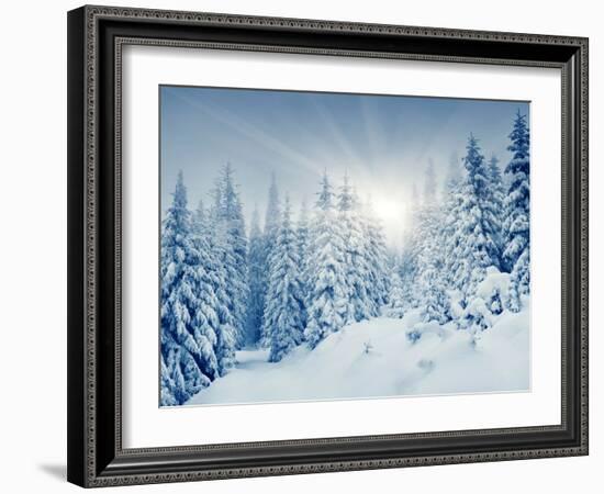 Beautiful Winter Landscape with Snow Covered Trees-Leonid Tit-Framed Photographic Print