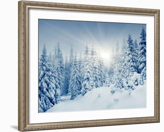 Beautiful Winter Landscape with Snow Covered Trees-Leonid Tit-Framed Photographic Print