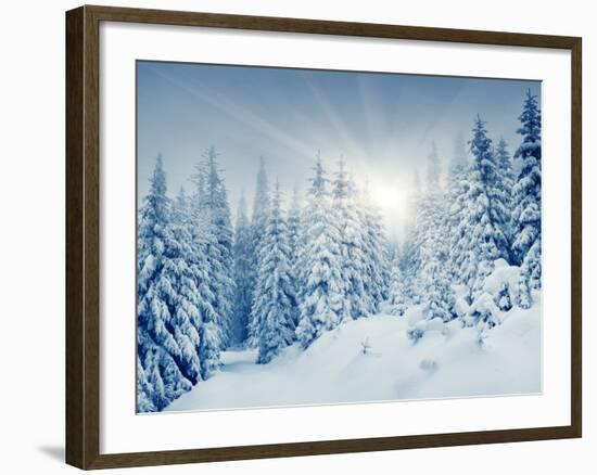 Beautiful Winter Landscape with Snow Covered Trees-Leonid Tit-Framed Photographic Print