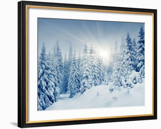 Beautiful Winter Landscape with Snow Covered Trees-Leonid Tit-Framed Photographic Print