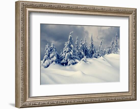 Beautiful Winter Landscape with Snow Covered Trees-Creative Travel Projects-Framed Photographic Print