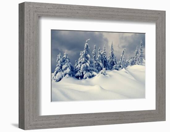 Beautiful Winter Landscape with Snow Covered Trees-Creative Travel Projects-Framed Photographic Print