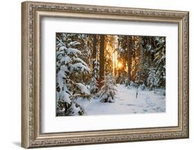 Beautiful Winter Landscape with Sunset in the Forest-yanikap-Framed Photographic Print