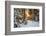 Beautiful Winter Landscape with Sunset in the Forest-yanikap-Framed Photographic Print