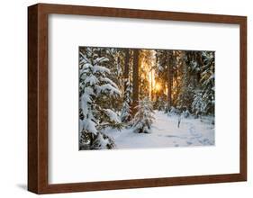Beautiful Winter Landscape with Sunset in the Forest-yanikap-Framed Photographic Print