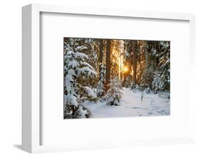 Beautiful Winter Landscape with Sunset in the Forest-yanikap-Framed Photographic Print