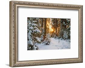 Beautiful Winter Landscape with Sunset in the Forest-yanikap-Framed Photographic Print