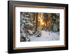 Beautiful Winter Landscape with Sunset in the Forest-yanikap-Framed Photographic Print