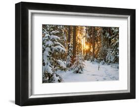Beautiful Winter Landscape with Sunset in the Forest-yanikap-Framed Photographic Print