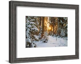 Beautiful Winter Landscape with Sunset in the Forest-yanikap-Framed Photographic Print