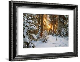 Beautiful Winter Landscape with Sunset in the Forest-yanikap-Framed Photographic Print