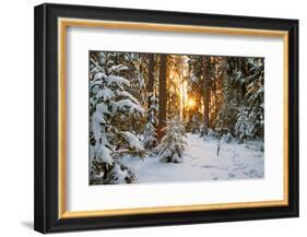 Beautiful Winter Landscape with Sunset in the Forest-yanikap-Framed Photographic Print