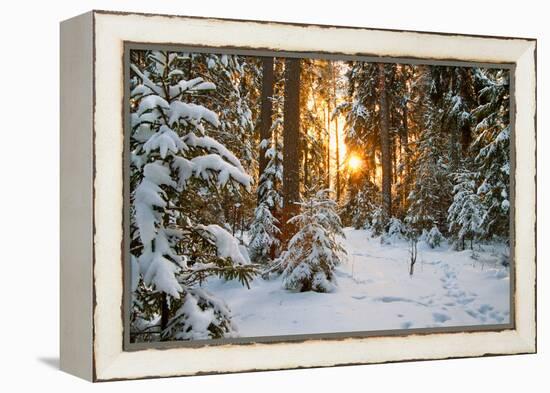 Beautiful Winter Landscape with Sunset in the Forest-yanikap-Framed Premier Image Canvas