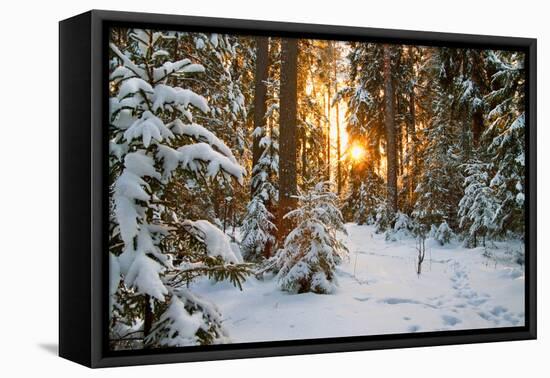Beautiful Winter Landscape with Sunset in the Forest-yanikap-Framed Premier Image Canvas