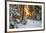 Beautiful Winter Landscape with Sunset in the Forest-yanikap-Framed Photographic Print