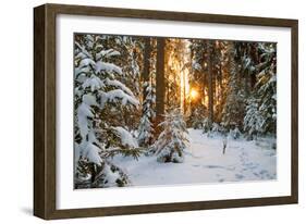 Beautiful Winter Landscape with Sunset in the Forest-yanikap-Framed Photographic Print