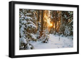 Beautiful Winter Landscape with Sunset in the Forest-yanikap-Framed Photographic Print
