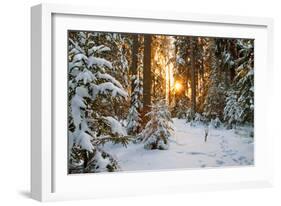 Beautiful Winter Landscape with Sunset in the Forest-yanikap-Framed Photographic Print