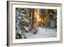 Beautiful Winter Landscape with Sunset in the Forest-yanikap-Framed Photographic Print
