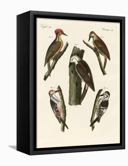 Beautiful Woodpeckers-null-Framed Premier Image Canvas