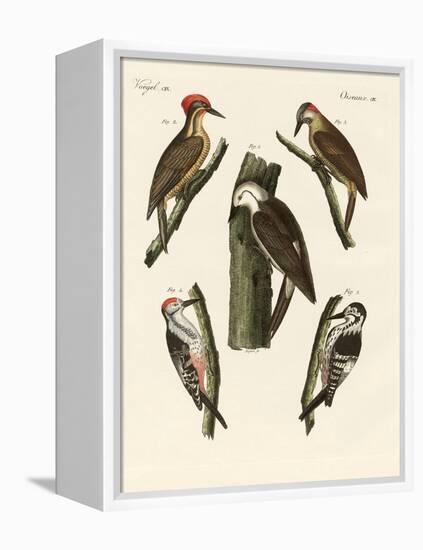 Beautiful Woodpeckers-null-Framed Premier Image Canvas