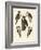 Beautiful Woodpeckers-null-Framed Giclee Print