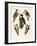 Beautiful Woodpeckers-null-Framed Giclee Print