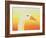 Beauty, 1998-Magdolna Ban-Framed Giclee Print