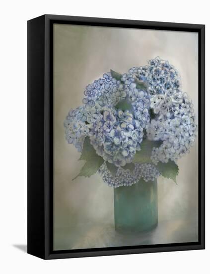 Beauty 2-Doris Charest-Framed Stretched Canvas