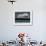 Beauty a 20-Week-Old Pig Flies Through the Air-Mark Baker-Framed Photographic Print displayed on a wall