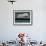 Beauty a 20-Week-Old Pig Flies Through the Air-Mark Baker-Framed Photographic Print displayed on a wall