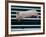 Beauty a 20-Week-Old Pig Flies Through the Air-Mark Baker-Framed Photographic Print