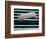 Beauty a 20-Week-Old Pig Flies Through the Air-Mark Baker-Framed Photographic Print