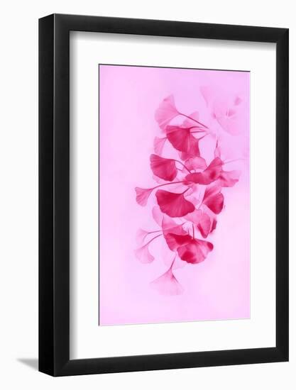 Beauty and Eleganc-Philippe Sainte-Laudy-Framed Photographic Print