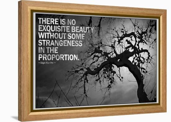Beauty and Strangeness Edgar Allan Poe Poster-null-Framed Stretched Canvas