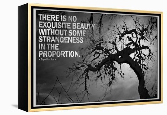 Beauty and Strangeness Edgar Allan Poe Poster-null-Framed Stretched Canvas